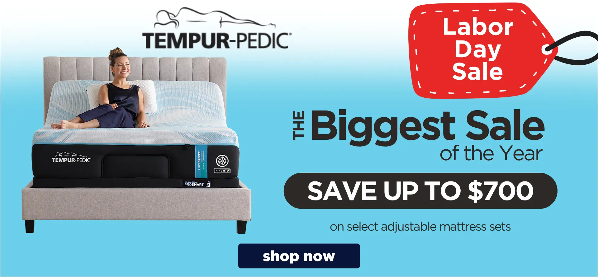TempurPedic Labor Day Sale