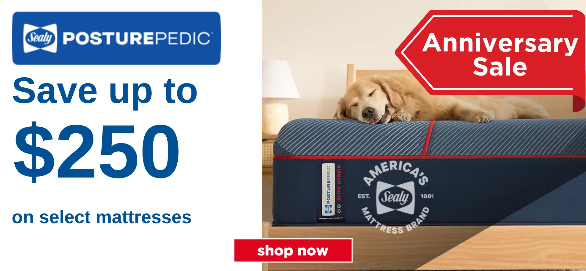 Sealy Mattress Sale